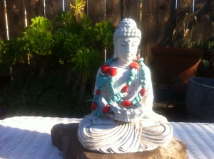 Buddha backyard 2